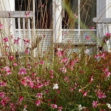 Ferienhaus Windrose Breege Exterior foto