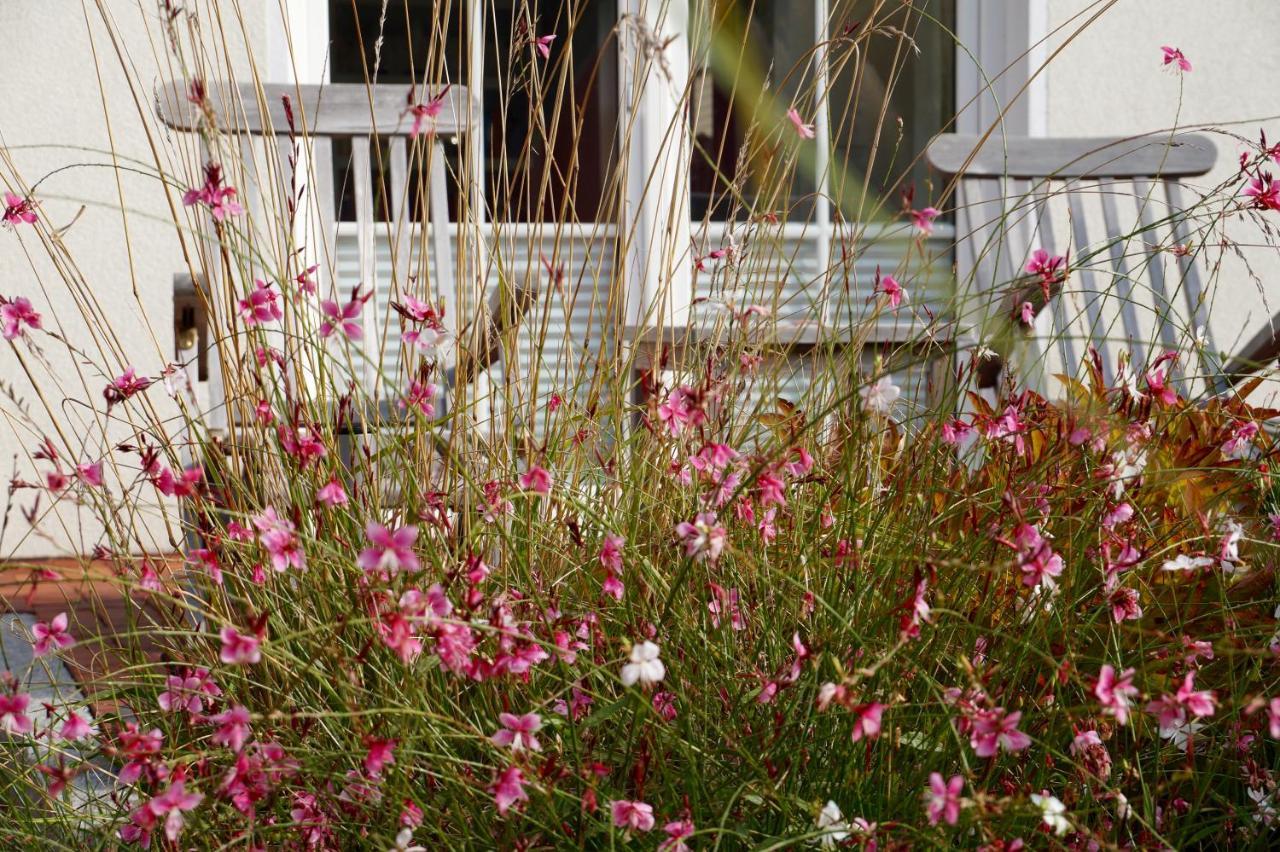 Apartment Windrose Breege